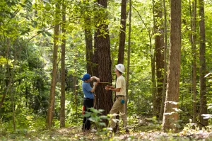 Researchers collecting environmental data in a forest ecosystem.