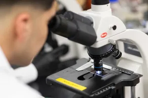 Laboratory scientist examining biological samples using a microscope.